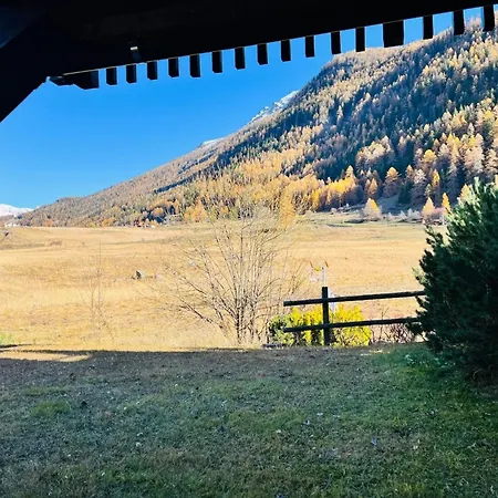 아파트 Guesthost - Petite Fleur - Cozy Flat